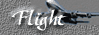 Flight Transportation
